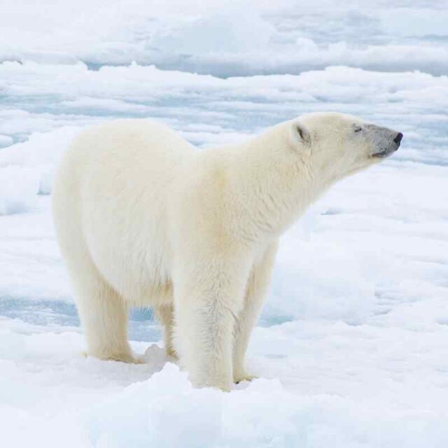 https://iesohio.com/wp-content/uploads/2022/03/image_09_home_03-640x640.jpg